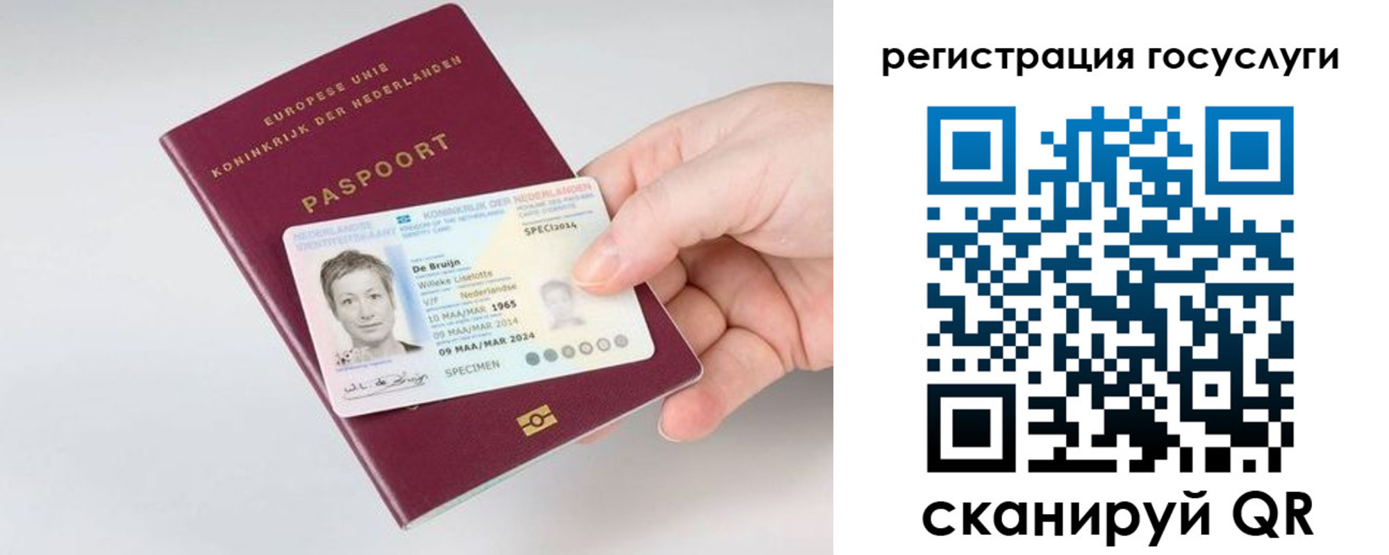 регистрация для дет. сада в Сосновом Бору